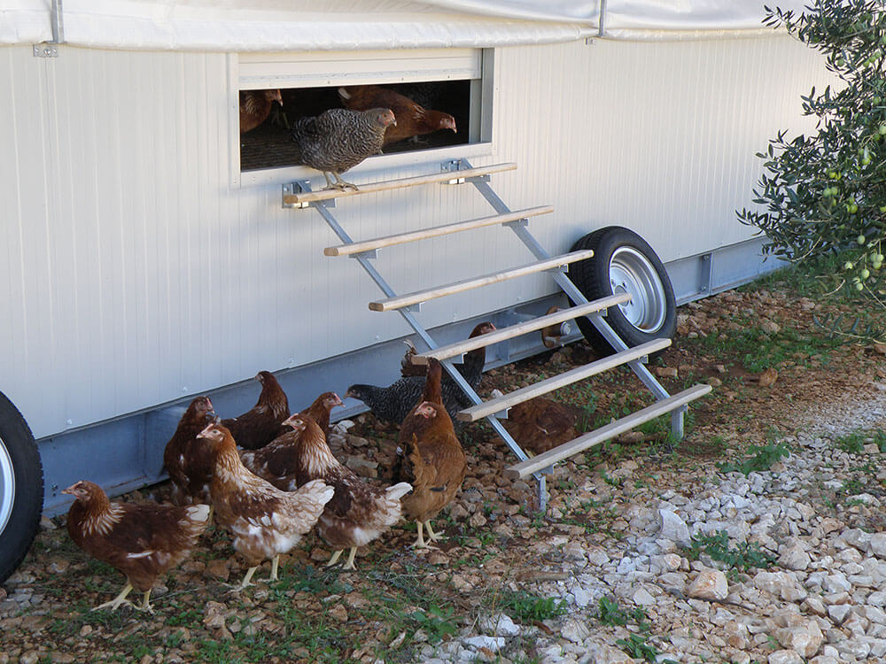 Mobile poultry shed Mobile commercial poultry housing SKA Poultry Equipment